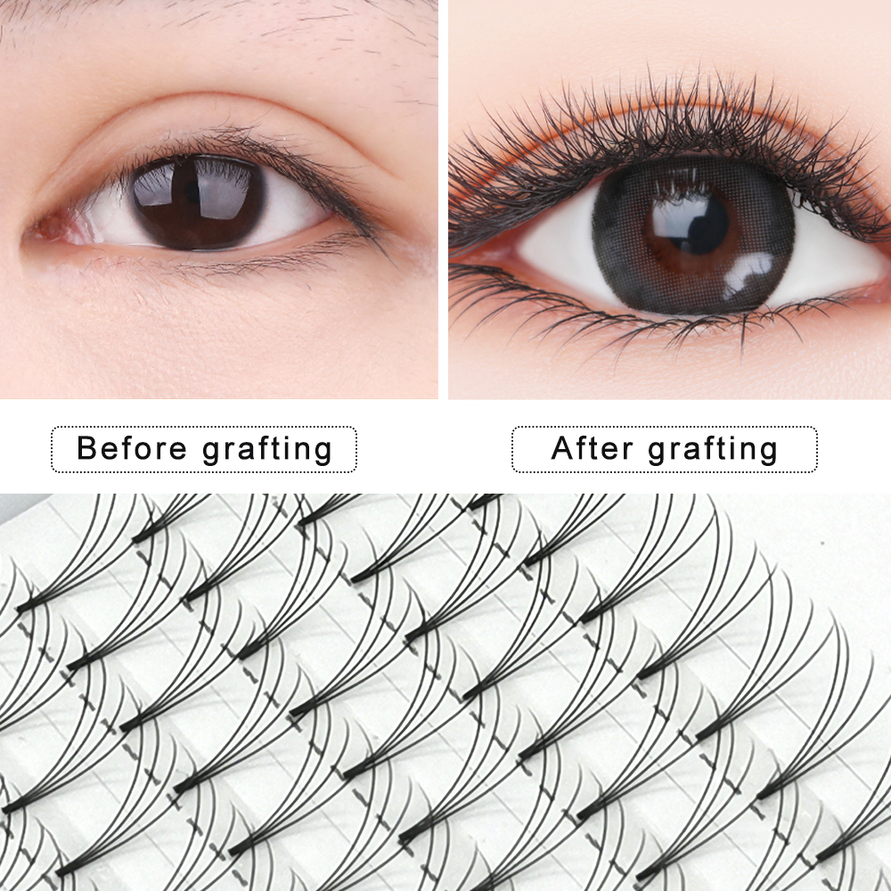 Eyelash Extension 3D4D5D6D7D8D - Eyelash Extension Japan 评论和价格