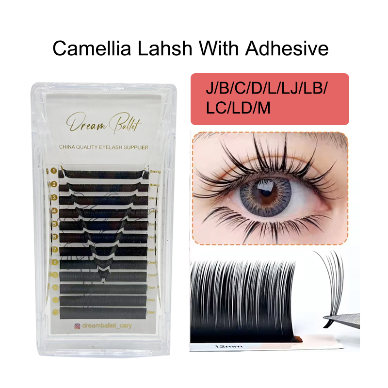 dream ballet Camellia Lashes w - Eyelash Extension Review 评论和价格