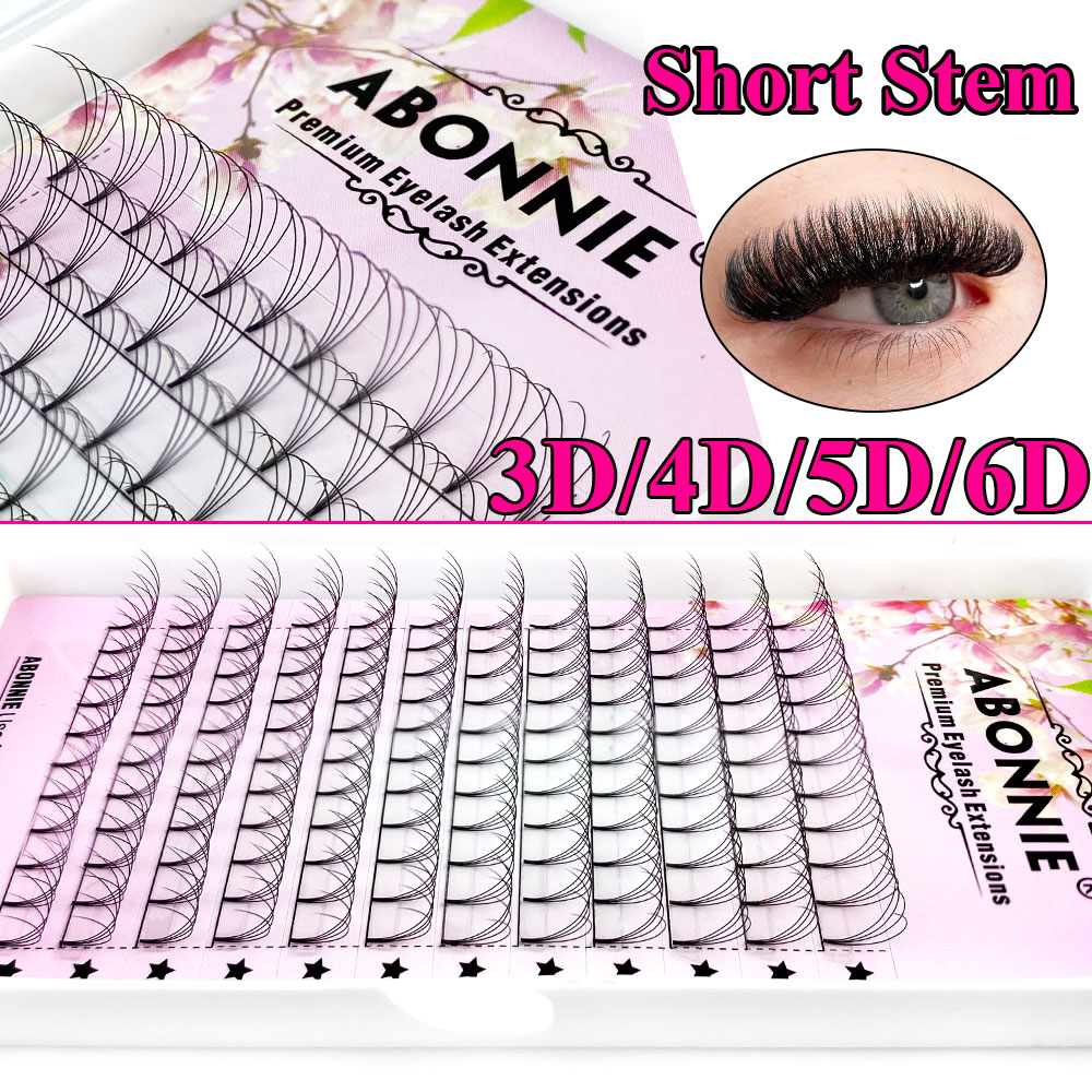 Abonnie 6D Narrow Fan Premade  - Eyelash Extension Japan 评论和价格