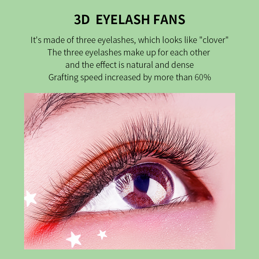 GLAMLASH W Shape Eyelash Exten - Eyelash Extension Anime 评论和价格